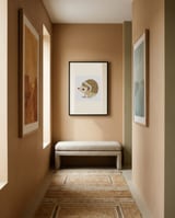 Cute Baby Hedgehog framed in a welcoming room thumbnail