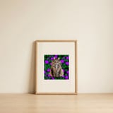 Fluffy Cat Purple Flowers — framed, leaning against the wall thumbnail