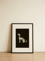 Elegant White Greyhound — framed, leaning against the wall thumbnail