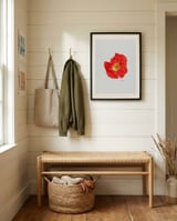 Single Red Poppy framed in a relaxed room thumbnail