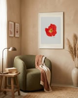 Single Red Poppy framed in a tender room thumbnail
