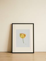 Sunny Yellow Tulip — framed, leaning against the wall thumbnail