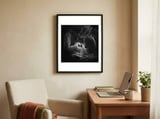 Reasoning framed in a focused room thumbnail