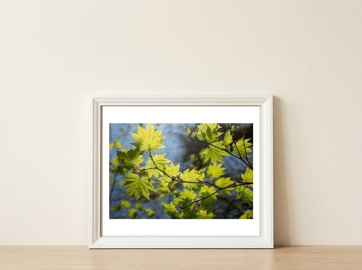 Heart Of Light — framed, leaning against the wall