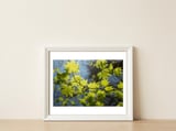 Heart Of Light — framed, leaning against the wall thumbnail