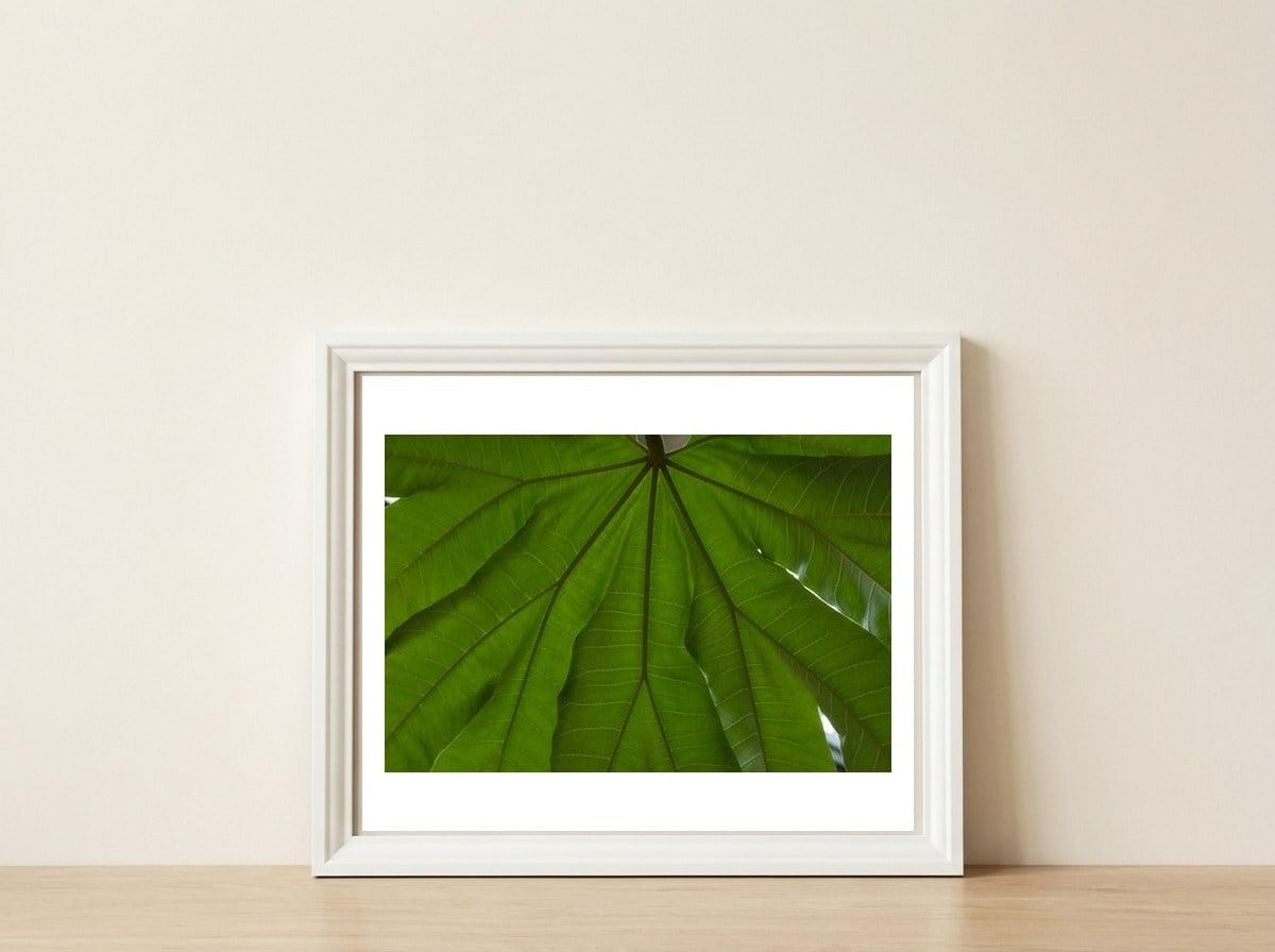 Hothouse — framed, leaning against the wall