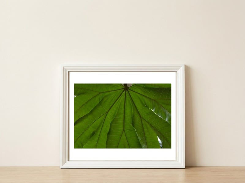 Hothouse — framed, leaning against the wall