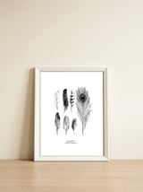 English Feather Variations — framed, leaning against the wall thumbnail