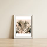 Morning Star — framed, leaning against the wall thumbnail