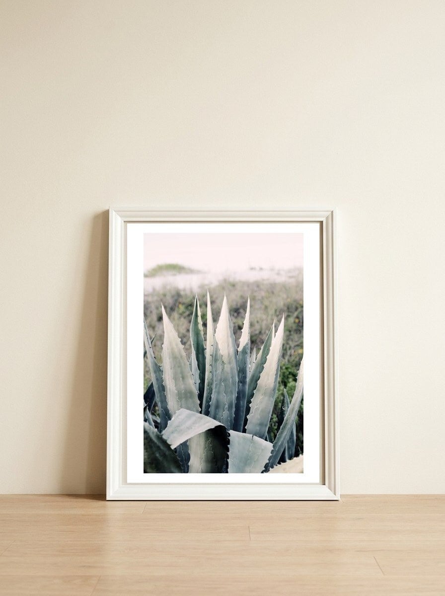 Pale Agave — framed, leaning against the wall