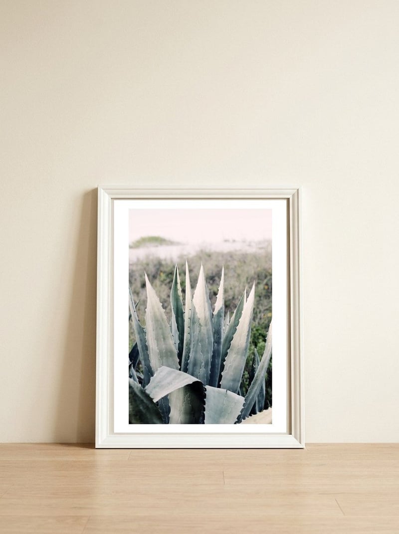 Pale Agave — framed, leaning against the wall