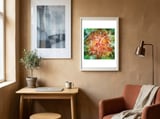 Floral Escalator framed in a focused room thumbnail