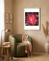 Red Navigation Light framed in a tender room thumbnail