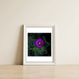 Floral autumn — framed, leaning against the wall thumbnail