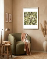 Harsh framed in a tender room thumbnail
