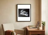 The Grey Horse framed in a focused room thumbnail
