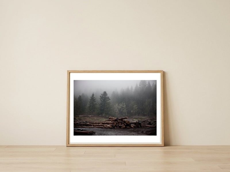 logs in the rain — framed, leaning against the wall