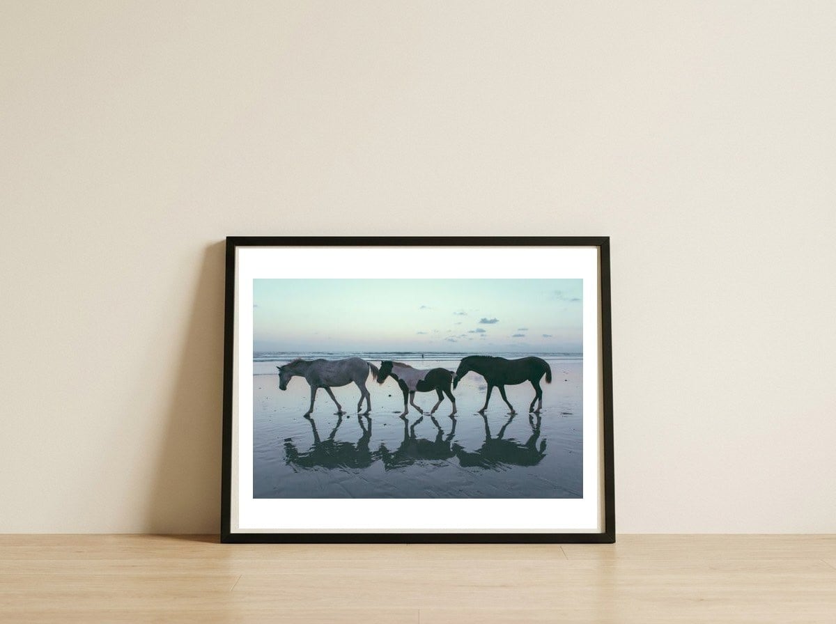 Wild Horse Family — framed, leaning against the wall