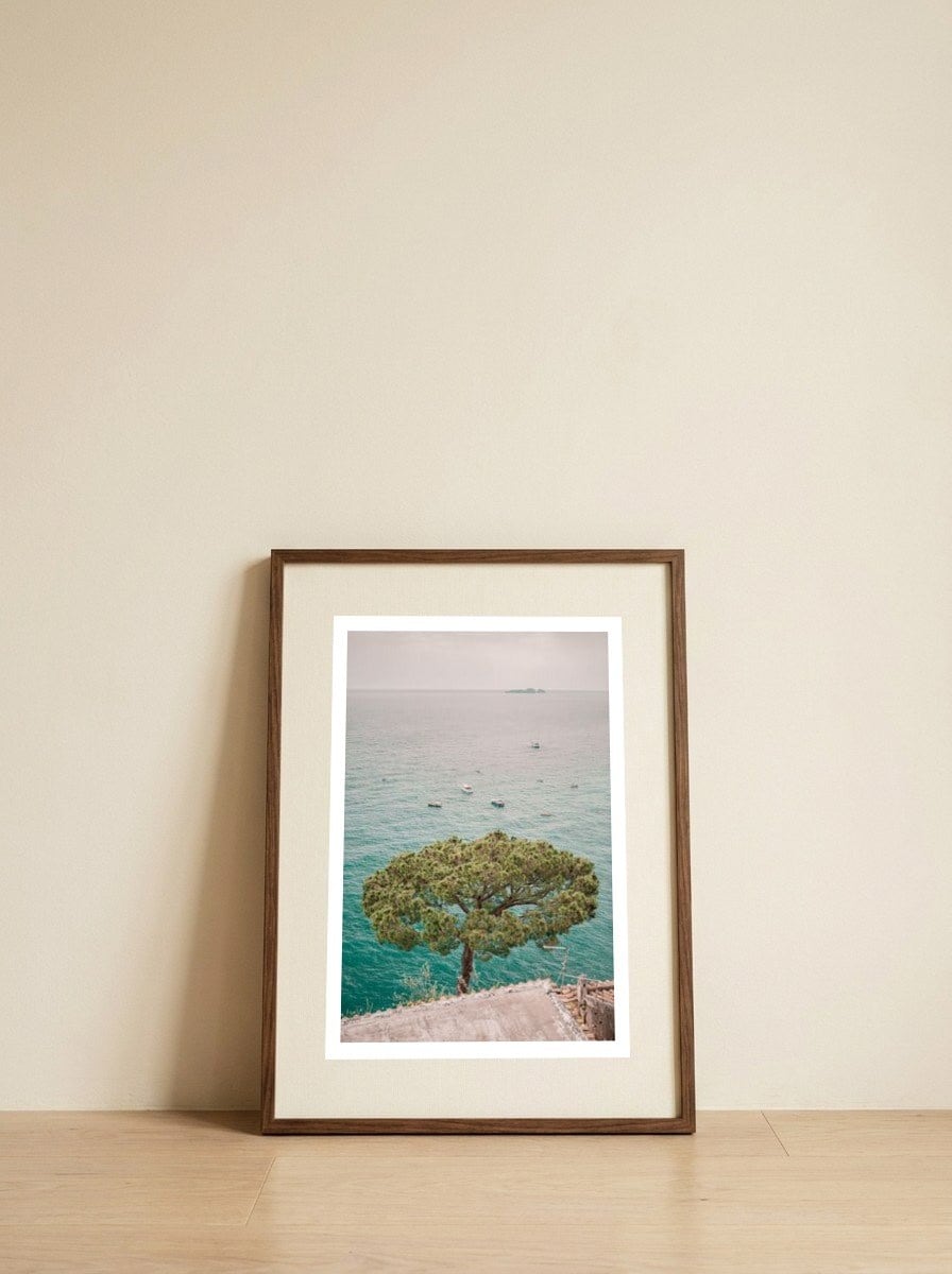 Tree overlooking the Mediterranean sea — framed, leaning against the wall