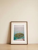 Tree overlooking the Mediterranean sea — framed, leaning against the wall thumbnail