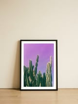 Desert cactus — framed, leaning against the wall thumbnail