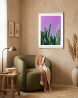 Desert cactus framed in a tender room thumbnail