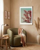 Red blossoms framed in a tender room thumbnail