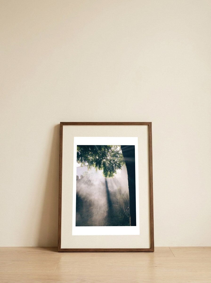 Summer smoke — framed, leaning against the wall