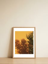 Succulent shadow — framed, leaning against the wall thumbnail