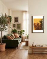 Succulent shadow framed in a grounding room thumbnail