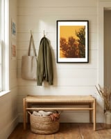 Succulent shadow framed in a relaxed room thumbnail