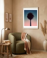 Sundown Palm framed in a tender room thumbnail