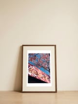 Dollar store in spring — framed, leaning against the wall thumbnail