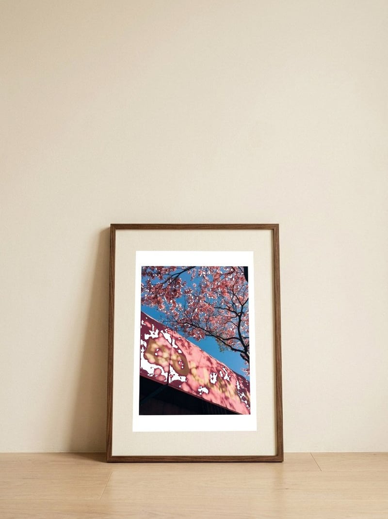 Dollar store in spring — framed, leaning against the wall