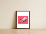 Horny (Colour) — framed, leaning against the wall thumbnail