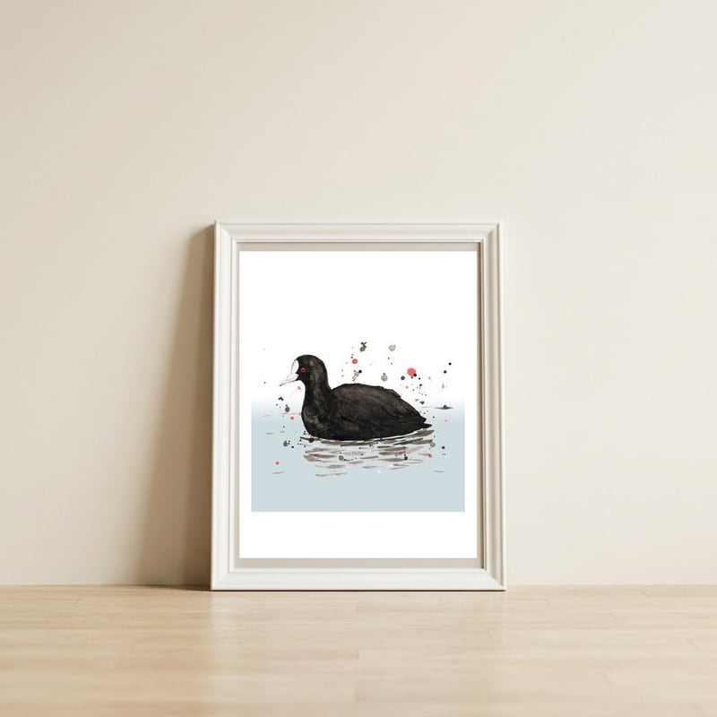 Common coot — framed, leaning against the wall