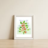 Physalis — framed, leaning against the wall thumbnail