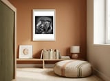 Macaw framed in a gentle room thumbnail