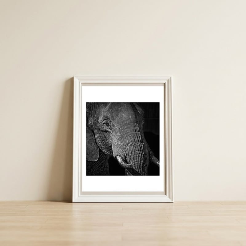 Elephant — framed, leaning against the wall