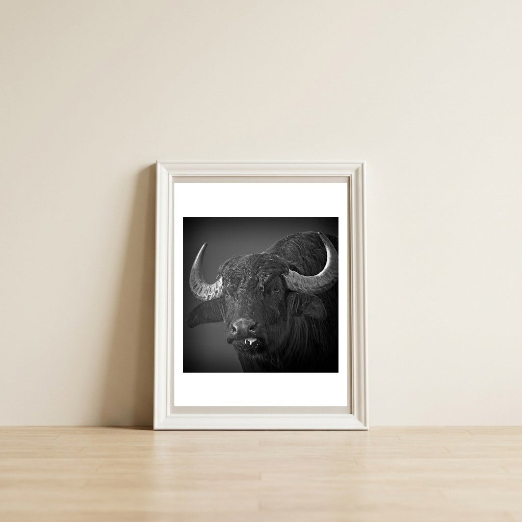 Water buffalo — framed, leaning against the wall