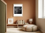 Water buffalo framed in a gentle room thumbnail