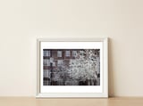 Chelsea Spring  — framed, leaning against the wall thumbnail