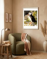 Puffin framed in a tender room thumbnail