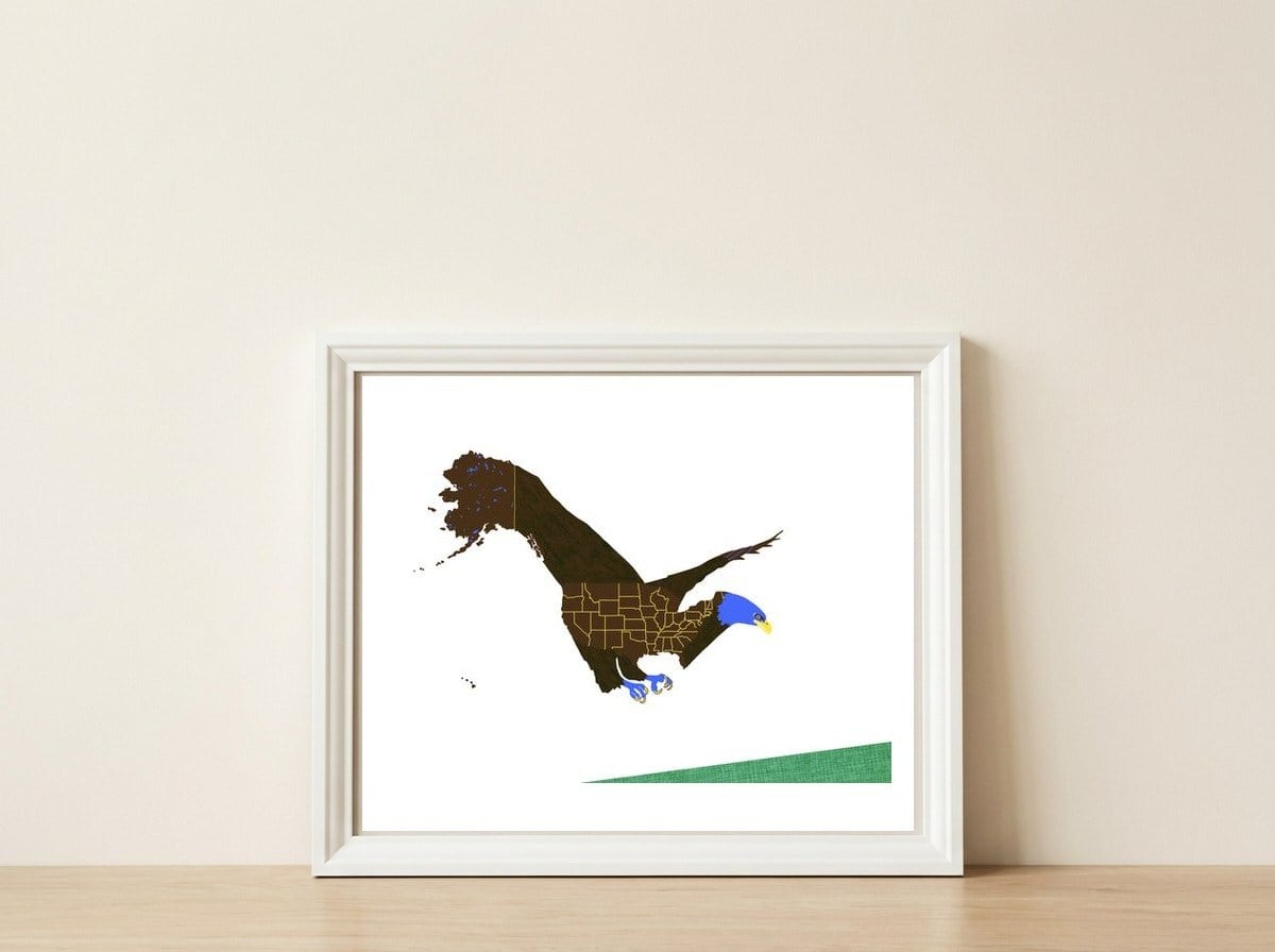 American Bald Eagle — framed, leaning against the wall