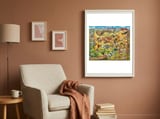 Arizona Illustrated Map framed in a tender room thumbnail