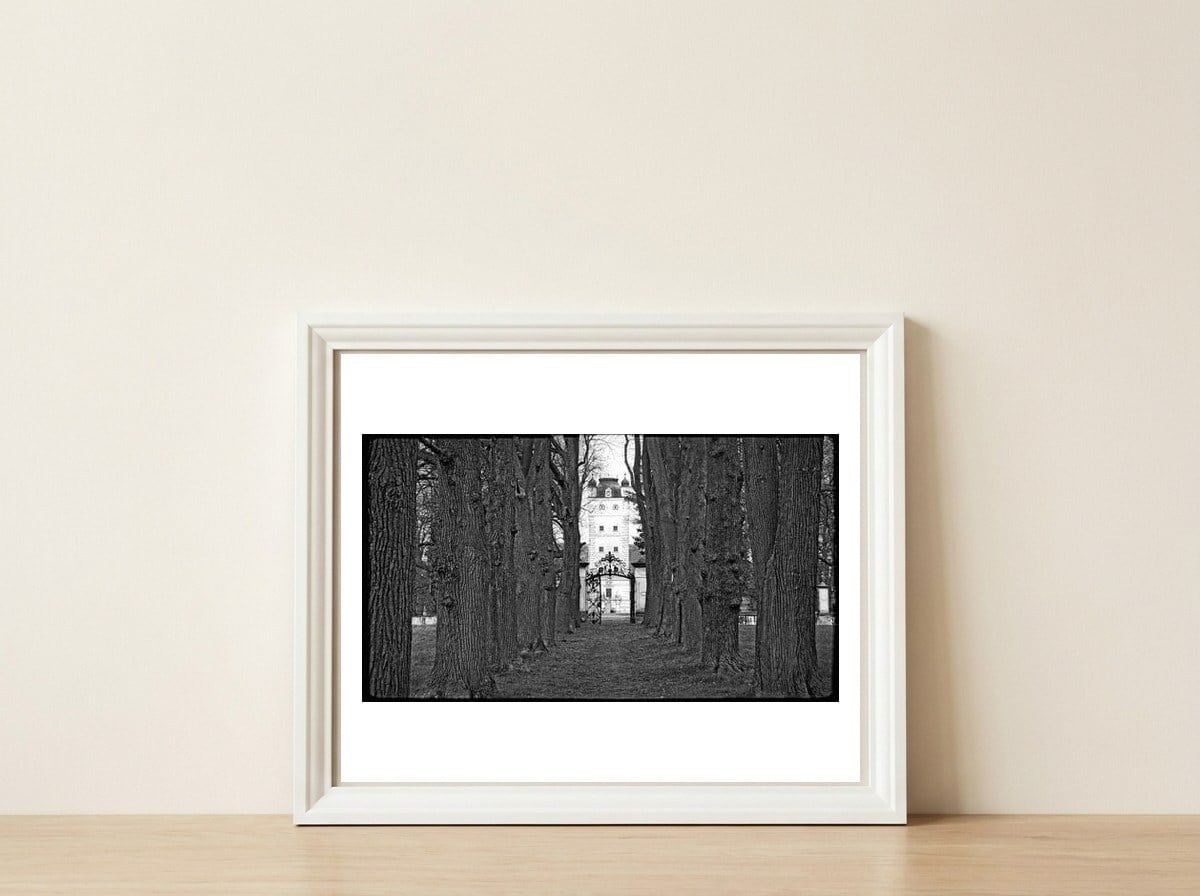 Old alley — framed, leaning against the wall