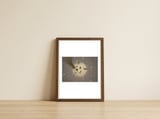 HONEYMOON — framed, leaning against the wall thumbnail