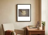 HONEYMOON framed in a focused room thumbnail