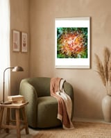 The Natural Light framed in a tender room thumbnail