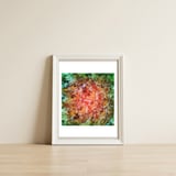 The Beautiful Evidence — framed, leaning against the wall thumbnail